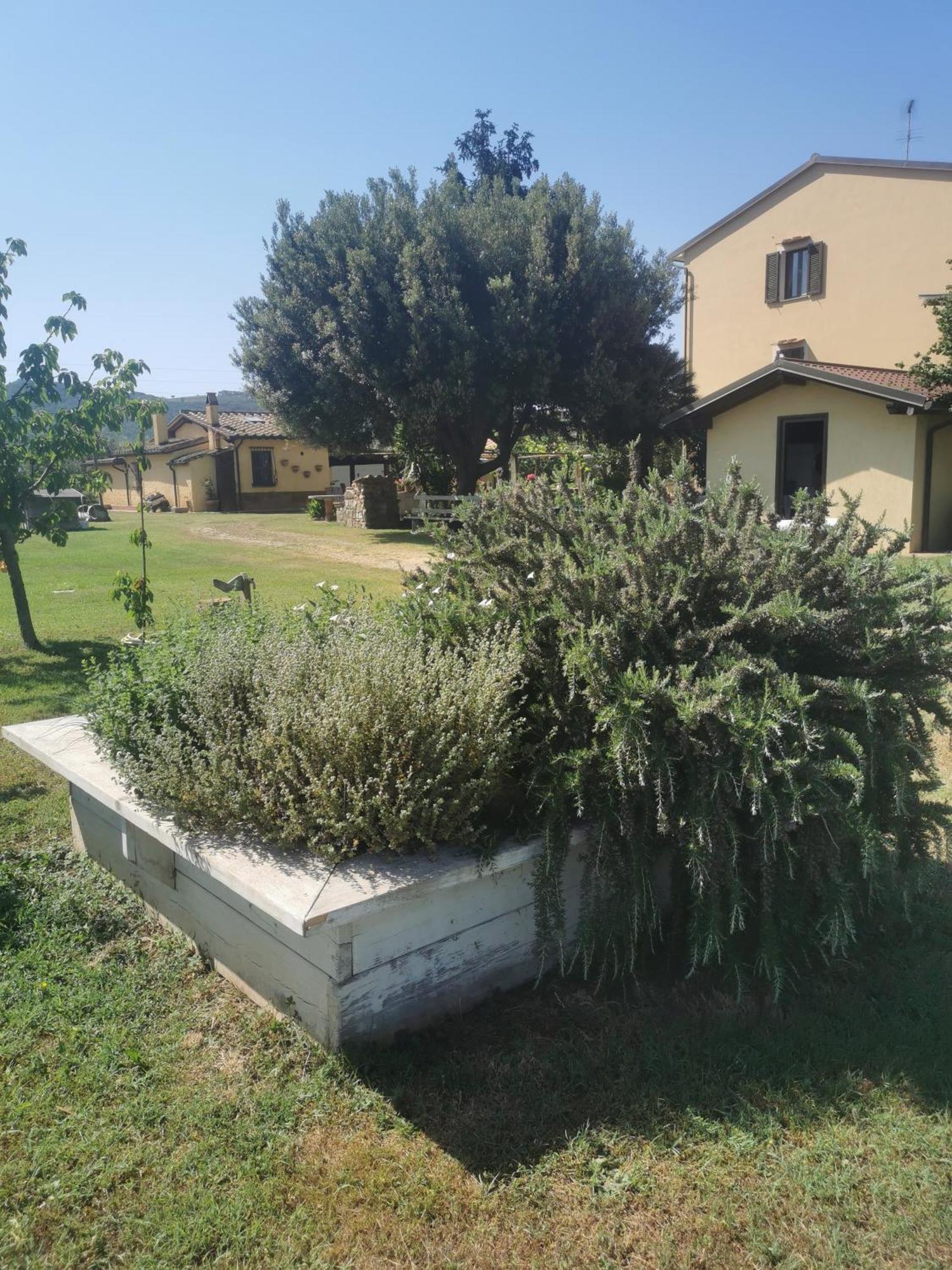 Podere Serena Castagneto Carducci Exterior photo